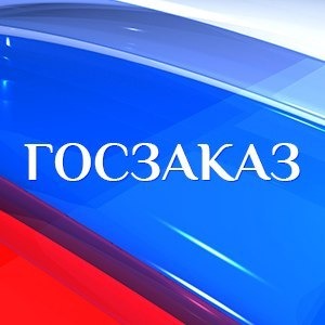 Сопровождение в тендерах,торгах и госзакупках